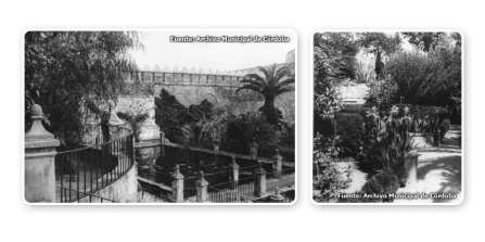 Jardín Medio